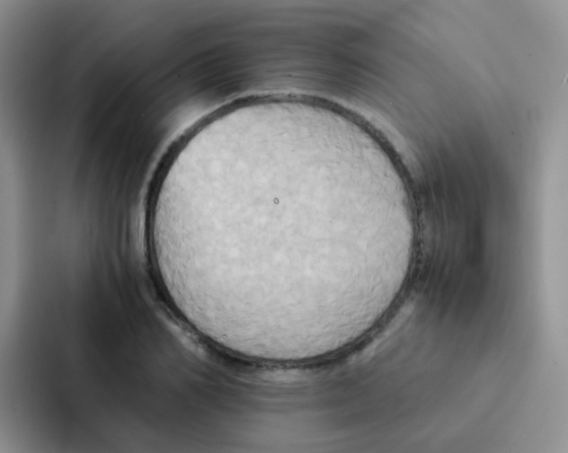 X0000086940982200705141759