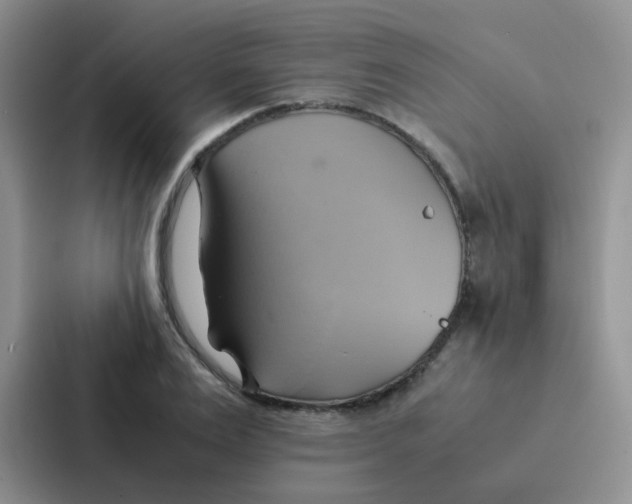 X0000086940983200705141759