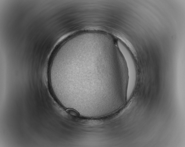 X0000086940984200705141759