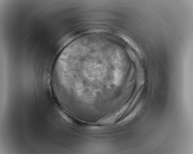 X0000086940985200705141759