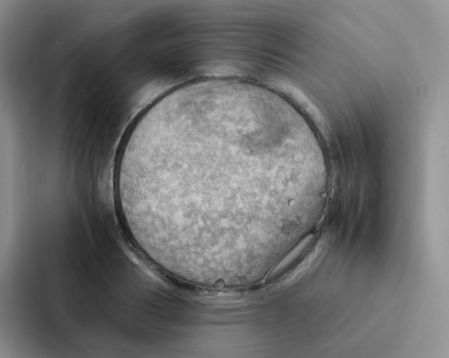 X0000086940986200705141759