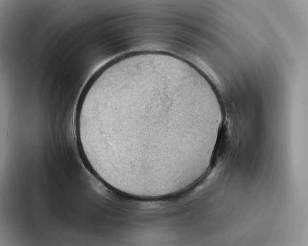 X0000086940988200705141758