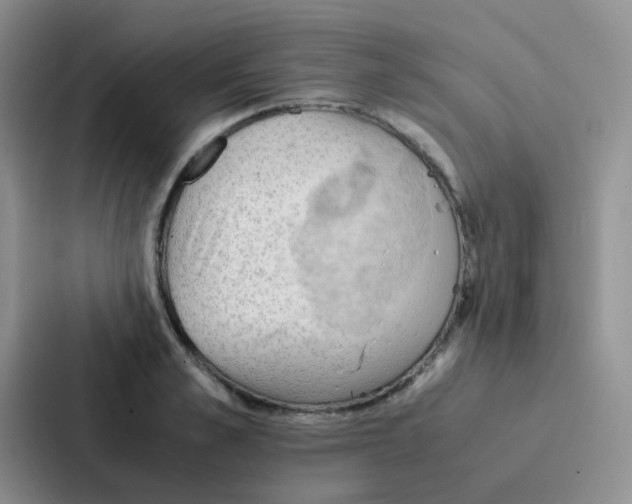 X0000086940989200705141758