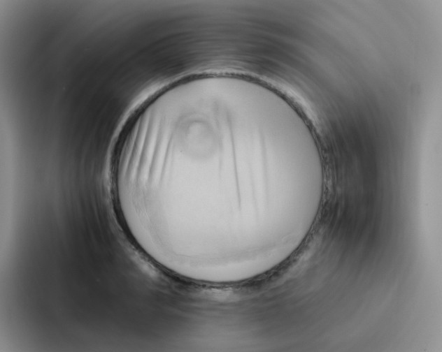 X0000086940990200705141758