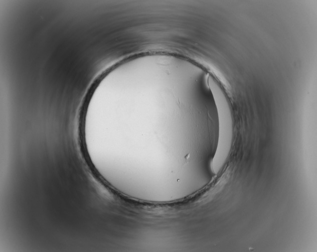 X0000086940991200705141758