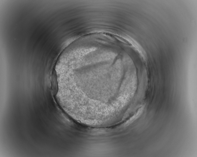 X0000086940993200705141758