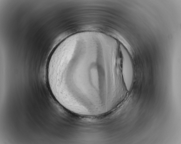 X0000086940994200705141758