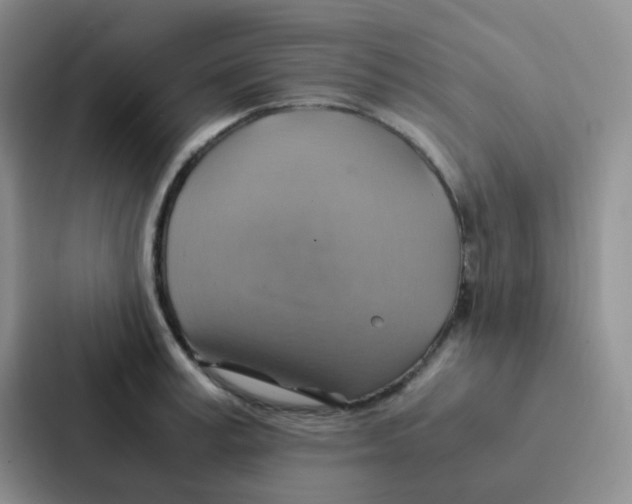 X0000086940995200705141758