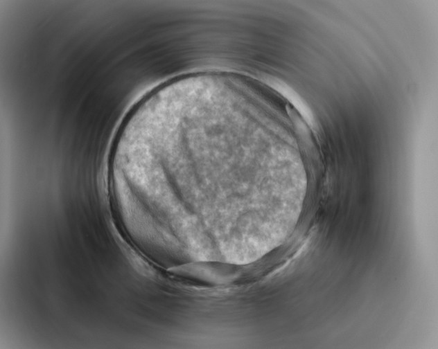 X0000086940996200705141758