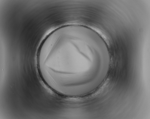 X0000086940998200705141758