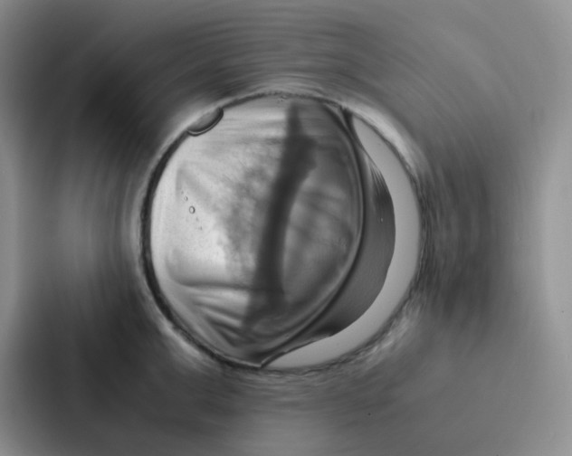 X0000086940999200705141758