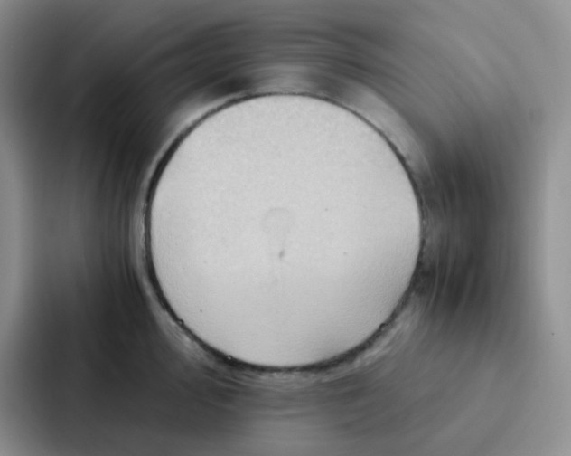 X0000086941000200705141758