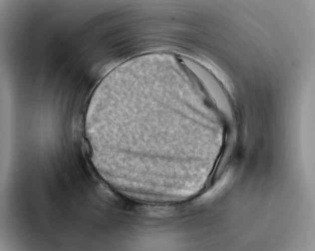 X0000086941001200705141758