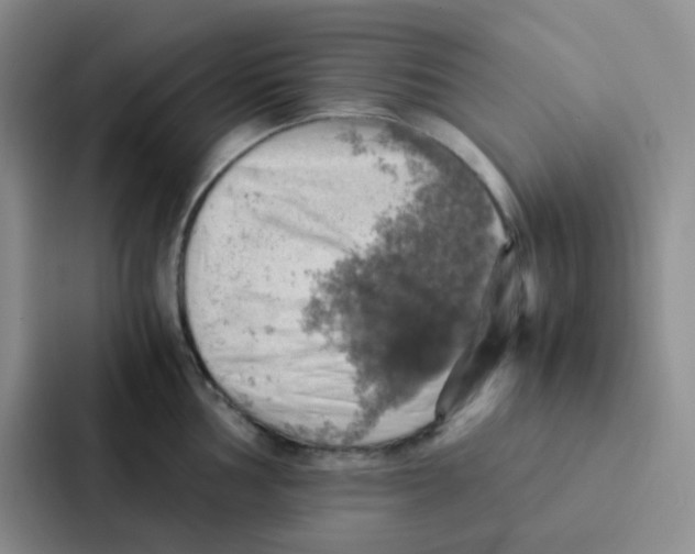 X0000086941002200705141758