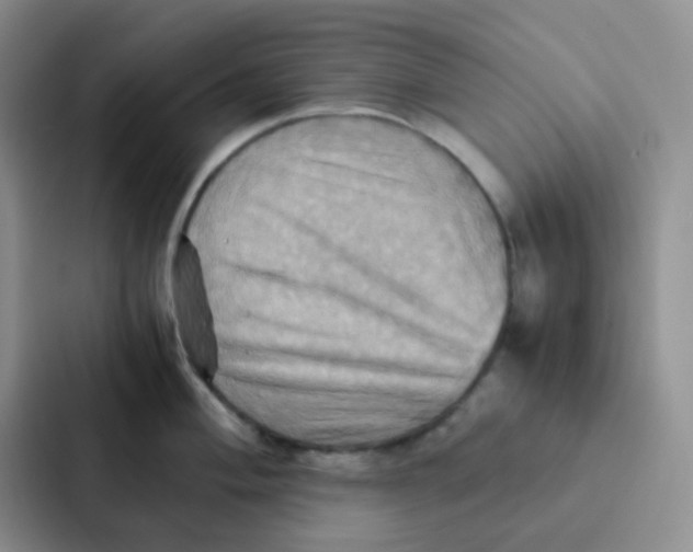 X0000086941004200705141758