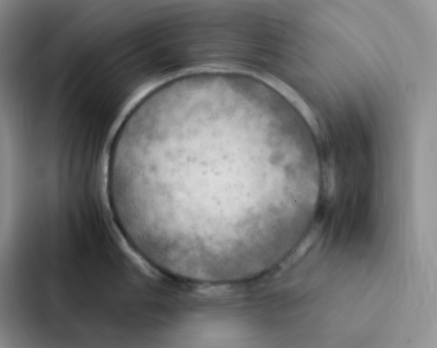 X0000086941006200705141758