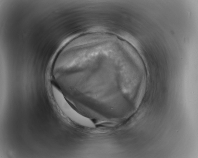 X0000086941008200705141758