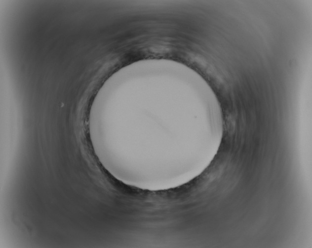 X0000086941009200705141758