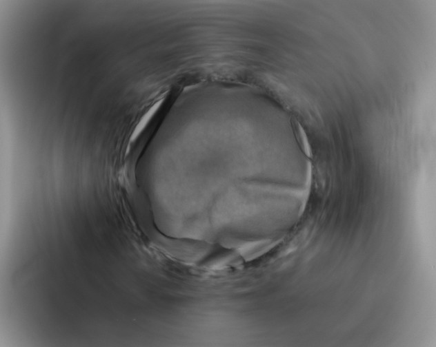 X0000086941010200705141758