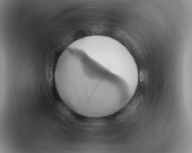 X0000086941011200705141758