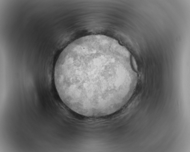 X0000086941012200705141758