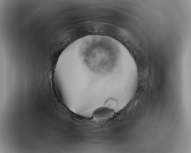 X0000086941013200705141758