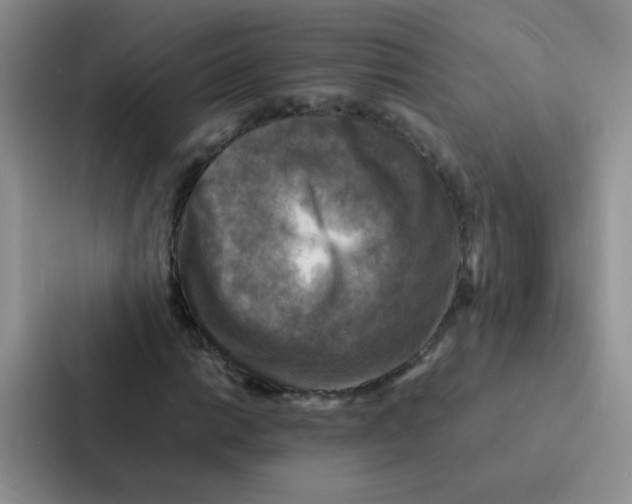 X0000086941014200705141758