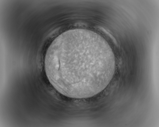 X0000086941015200705141758