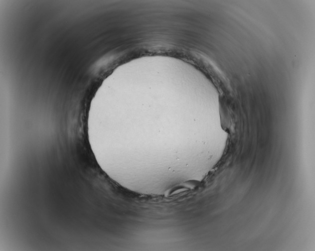 X0000086941016200705141758