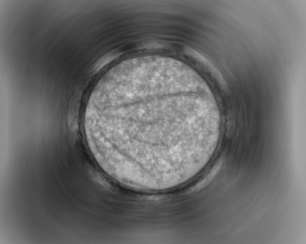 X0000086941017200705141758