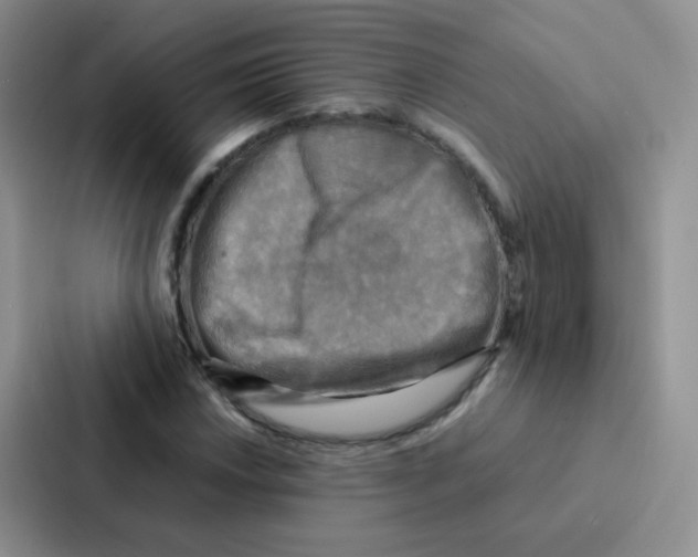 X0000086941018200705141758