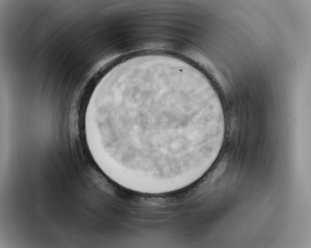 X0000086941019200705141758