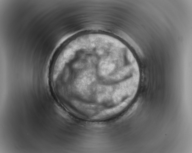 X0000086941020200705141758