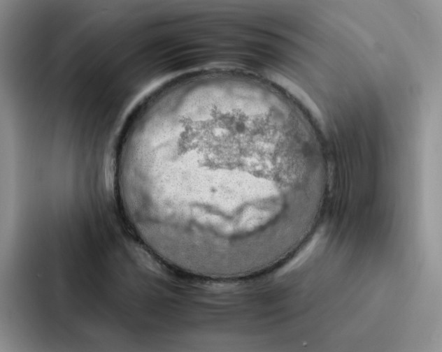 X0000086941021200705141758