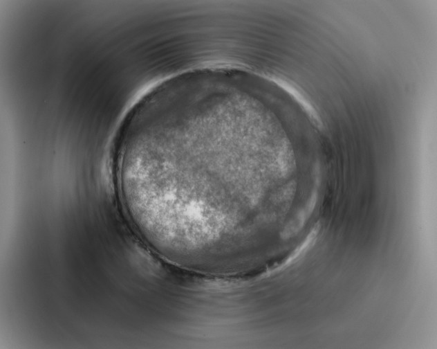 X0000086941022200705141758