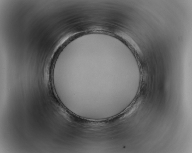 X0000086941023200705141758