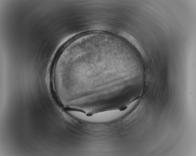 X0000086941024200705141758