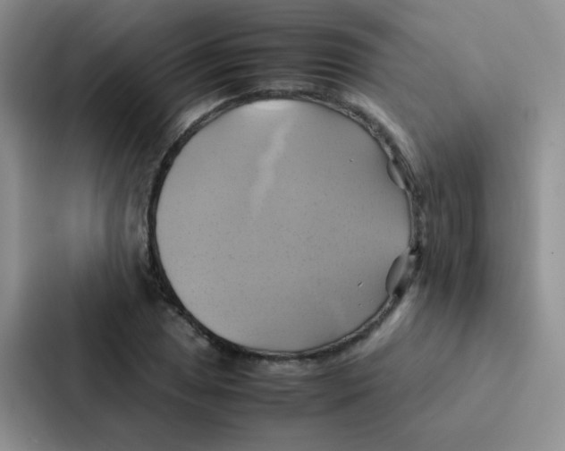 X0000086941025200705141758