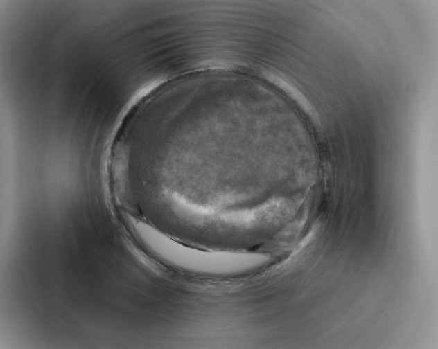 X0000086941026200705141758