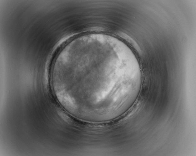 X0000086941027200705141758