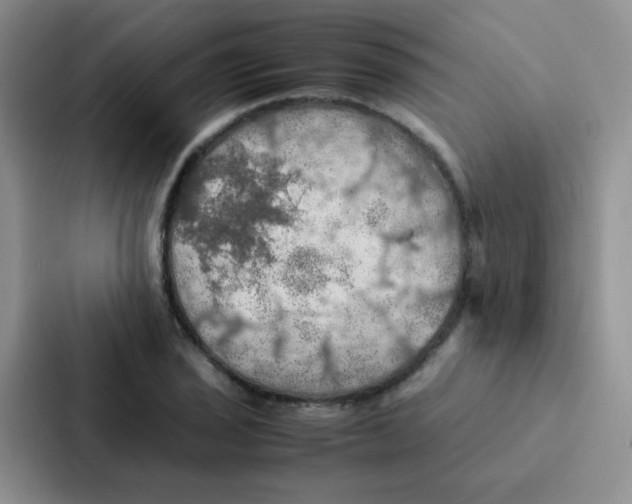 X0000086941029200705141758