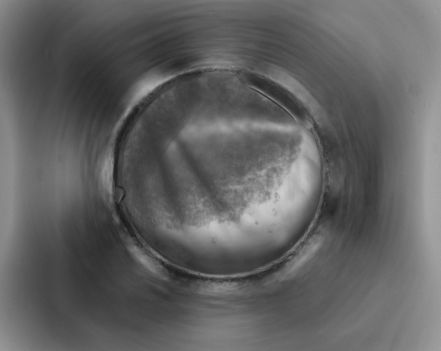 X0000086941030200705141758