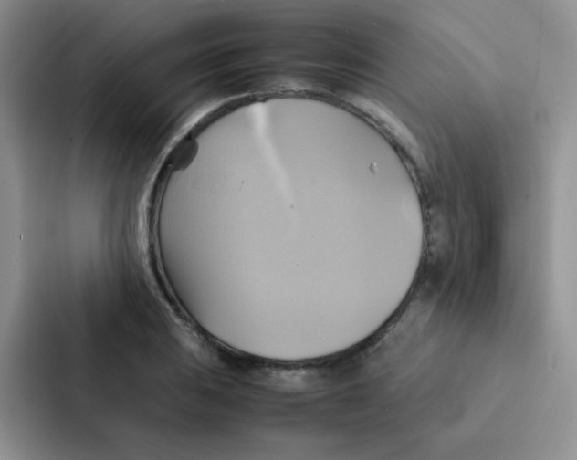 X0000086941031200705141758