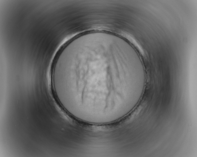 X0000086941032200705141758