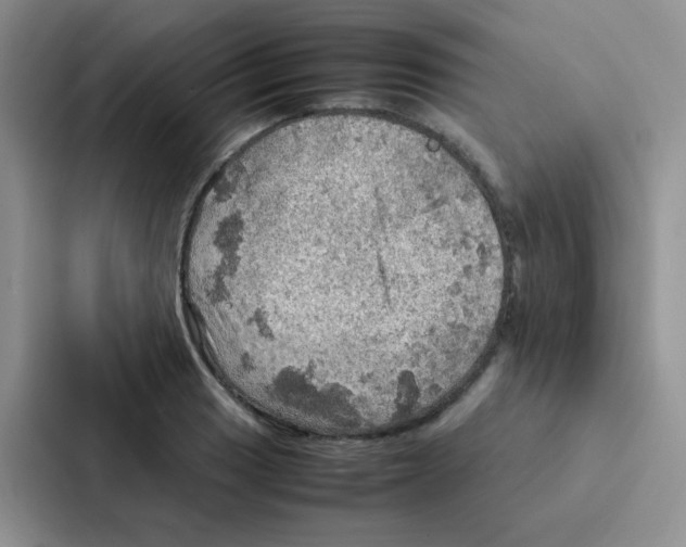 X0000086941033200705141758