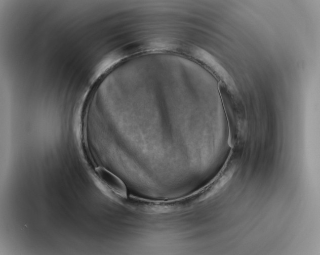 X0000086941034200705141758