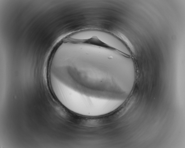 X0000086941035200705141758