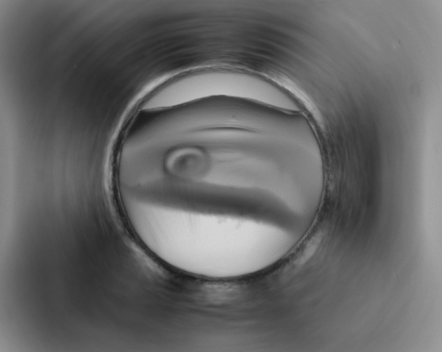 X0000086941037200705141758