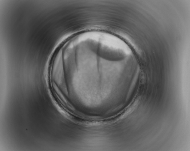 X0000086941038200705141758