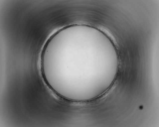 X0000086941040200705141758